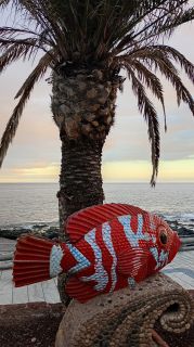 GC-Playa de Arinaga 2026-131.jpg